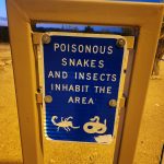 poisonous snakes