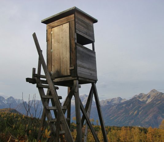 Purpose Driven // How Hunting Taught Me to Live with Purpose