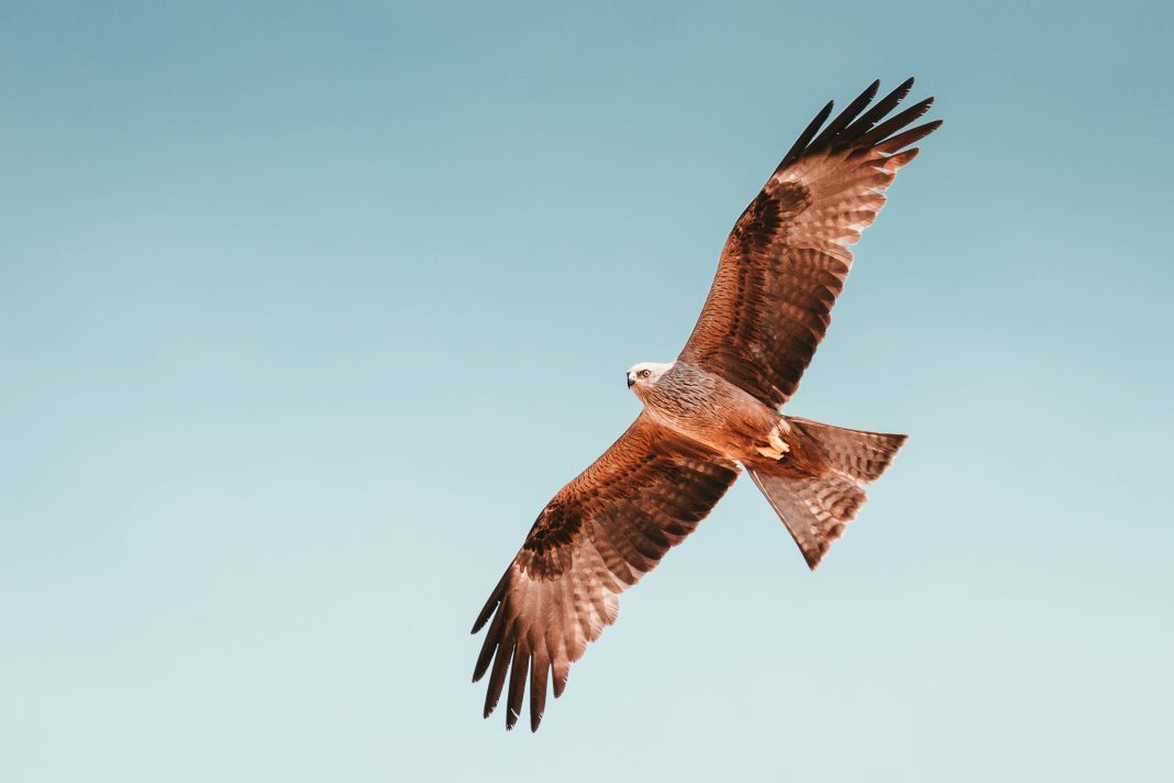 martin-adams-fmCOUAj1QHk-unsplash